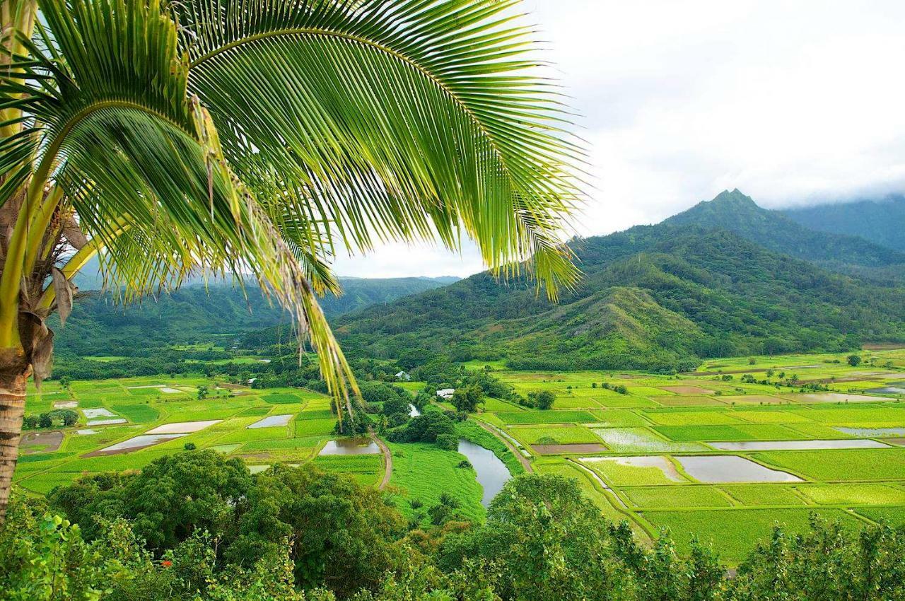 Islander On The Beach 352 Oceanfront *Penthouse* Ac Pool Appartement Kapa'a Buitenkant foto